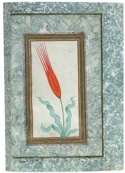Seite aus dem Türkischen Tulpenalbum, Istanbul, 1725
