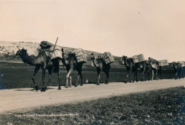 Eine Kamelkarawane auf dem Weg nach Damaskus