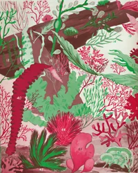 Eine Sammlung von über fünfzig Arten von roten, grünen und braunen Algen, 1935