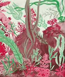 Eine Sammlung von über fünfzig Arten von roten, grünen und braunen Algen, 1935