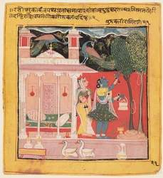 Eine Dame pflückt Blumen mit Pfauen, Gunakali Ragini von Malkos, aus dem Chawand Ragamala, 1605
