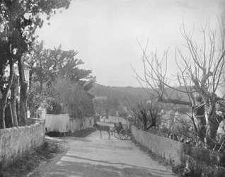 Eine Straße in Port Royal, Bermuda, 19. Jahrhundert