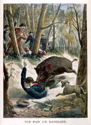 Ein Jäger von einem Wildschwein getötet, 1901