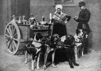 Eine Milchfrau mit einem Regierungsinspektor, Belgien, 1922