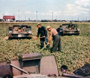Verlassene französische Panzer auf einem Feld, Dunkerque, Frankreich, 1940