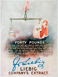 Werbung für Liebig Fleischextrakt, 1899
