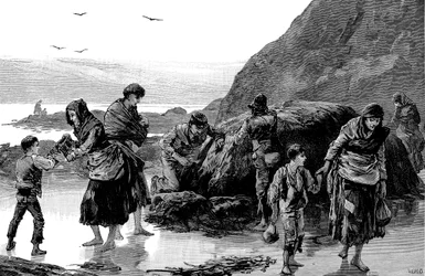 Nachwirkungen der Hungersnot, Irland 1840er, 1886