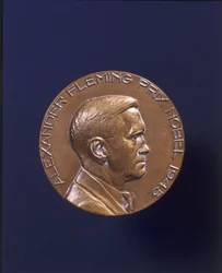 Alexander Fleming Nobelpreis 1945