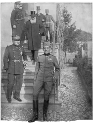 Alexander Karadordevic, Regent von Serbien, Erster Weltkrieg, 1915