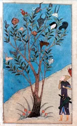 Alexander der Große, 356-323 v. Chr., 1425
