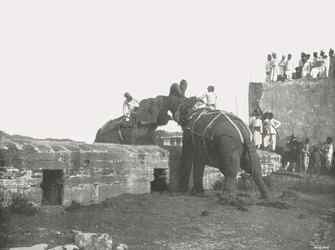 Ein Elefantenkampf, Hyderabad, Indien, 1895