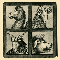 Tierköpfe