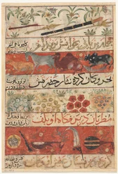 Tiere, Edelsteine, Münzen und Musikinstrumente recto, Tiere, Vögel und Pflanzen verso