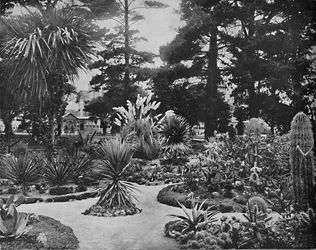 Arizona Garten. Monterey, Kalifornien, ca. 1897