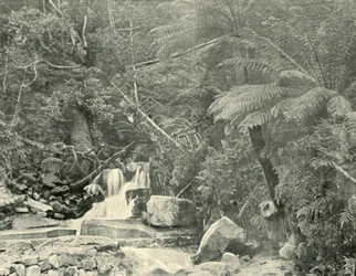 Am St. Crispins Brunnen, 1901