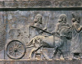 Basrelief, persische Kunst, 6. Jahrhundert