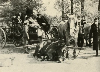 Belgische Flüchtlinge auf der Straße, 1939-1940, 1941