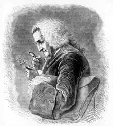 Bernard de Jussieu, französischer Botaniker des 18. Jahrhunderts, 1880