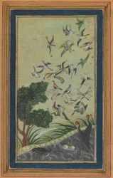 Vögel in Baran, möglicherweise aus dem Babur-nama, spätes 16. Jahrhundert