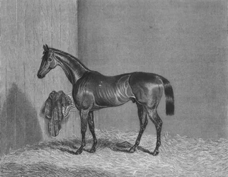 Bloomsbury, 1836-1861, 1911