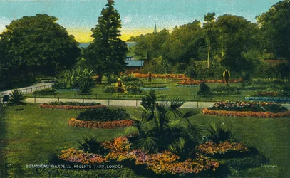 Botanische Gärten, Regents Park, London, ca. 1910