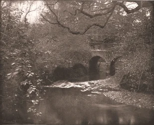 Bach und Brücke im New Forest, Hampshire