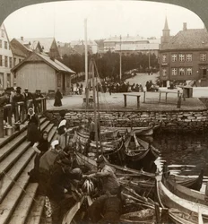Fischkauf in einem geschäftigen arktischen Handelshafen, Tromsø 69° 38