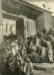 Cambyes und Psammetichs