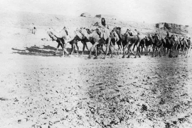 Kamelkarawane, Mosul, Mesopotamien, 1918