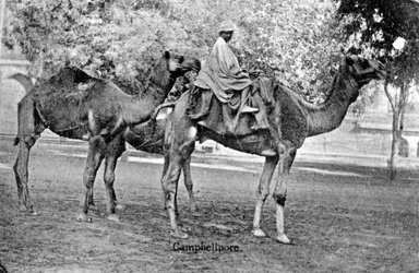 Campbellpore, Pakistan
