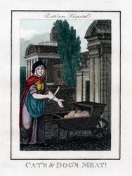 Katzen- und Hundefleisch!, Bethlem Hospital, London, 1805