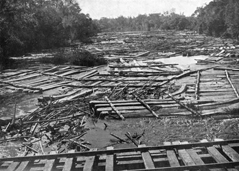 Zedernstämme auf dem Tebicuary-Guazu-Fluss, die an der Eisenbahnbrücke vorbeischwimmen, Paraguay, 1911