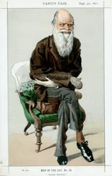 Charles Darwin, englischer Naturforscher, 1871