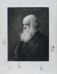 Charles Darwin, englischer Naturforscher, ca. 1860er