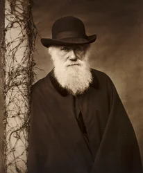 Charles Darwin in seinem Haus in Down House, Kent, ca. 1880