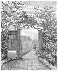 Charles Darwin im Sandweg bei Down House, ca. 1870-1887