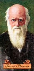 Charles Darwin, aus einer Serie von Zigarettenkarten, 1935