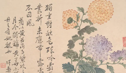 Chrysanthemen