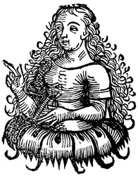 Kimmerische Sibylle, 1493
