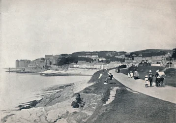 Clevedon - Der grüne Strand, 1895