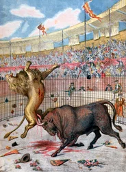 Kampf zwischen einem Löwen und einem Stier, Spanien, 1894