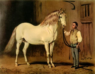 Cream State Kutschpferd des Gestüts von Königin Victoria