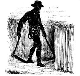 Fruchtfolge: Ernten mit einer Hainault-Sense, 1855