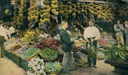 Kubanischer Obstladen, ca. 1910
