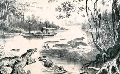 David Livingstone navigiert den Sambesi, Afrika, 1852-1864, ca. 1878