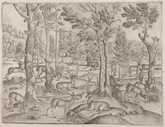 Hirsche im Wald, ca. 1520