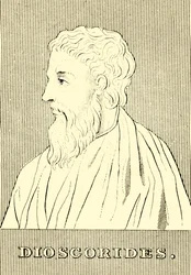 Dioskorides