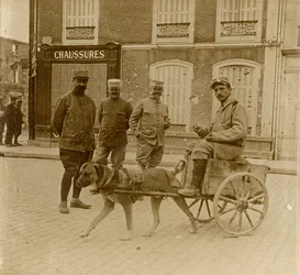 Hundewagen, Frankreich, ca. 1914-1918