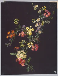 Zeichnung, aus Saint Germain - Bände 1 und 2