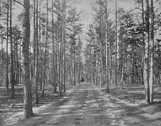 Fahrt im Piney Woods Park, Lakewood, New Jersey